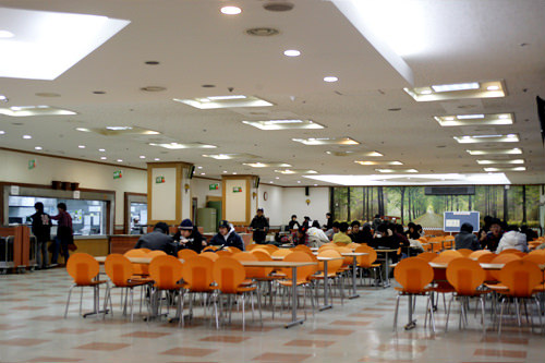 庆熙大学照片_韩国 首尔景点_韩国旅游网-韩巢网