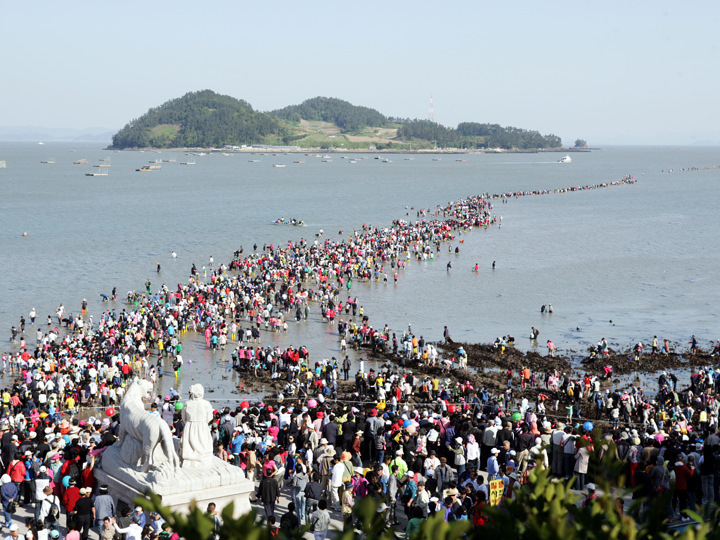 韩国珍岛 韩国旅游网 韩巢网