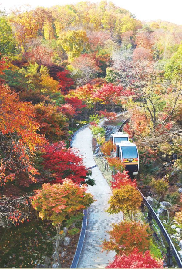 480种红叶飨宴，昆池岩和谈林