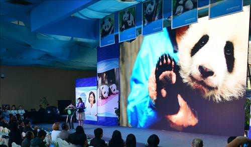 1月17日，UNDP形象大使全球征名暨UNDP熊猫使者全球招募活动开幕式在中国成都召开。