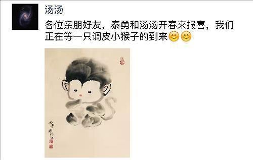汤唯SNS晒猴宝宝水墨画宣布怀孕