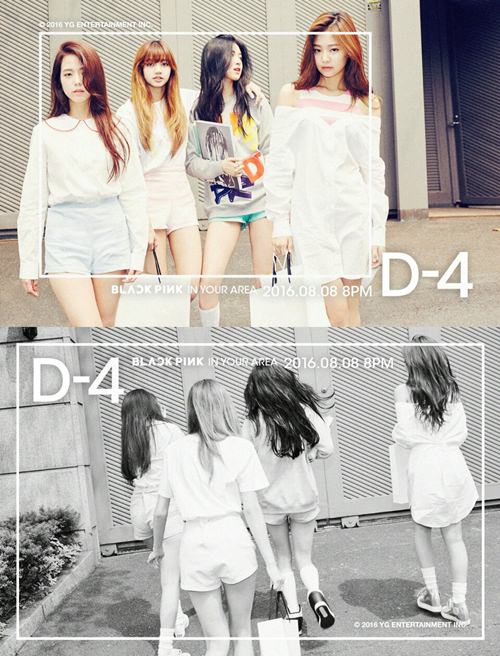 新人女团BLACKPINK预告照
