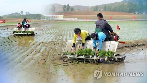 韩政府：朝鲜今年粮食缺口近70万吨