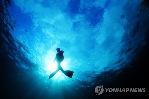 11月25日，在济州西归浦近海，一名海女正在海中作业。（韩联社）