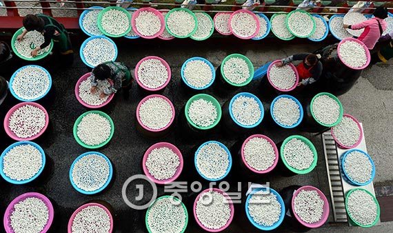 韩佛教信徒准备2万份冬至红豆粥