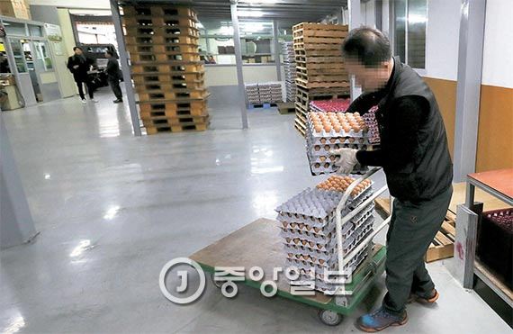 禽流感致韩国鸡蛋紧缺相关行业受威胁