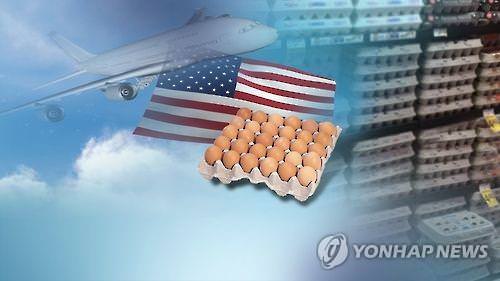 韩决定批准进口蛋加工品应对鸡蛋荒
