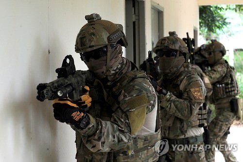 韩国将派兵参加美泰“金色眼镜蛇”军演