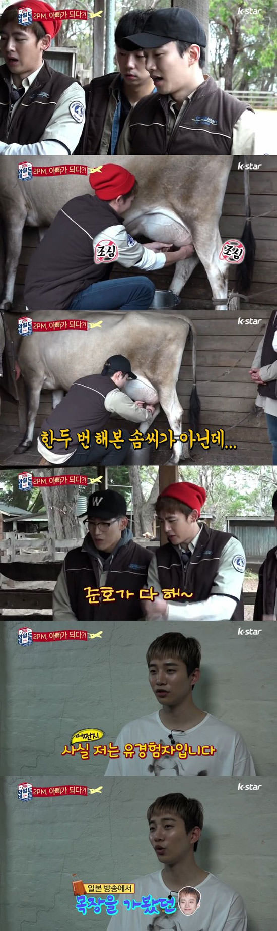 2PM成员现身牧场 为奶牛挤奶喂饲料