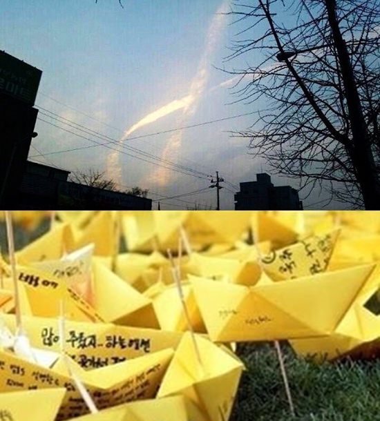 韩星们通过SNS祈祷世越号打捞成功