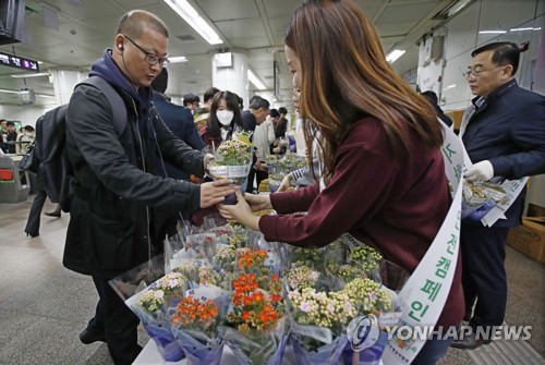 上班路上花香飘