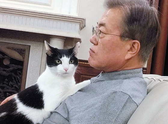 “第一猫”晶晶