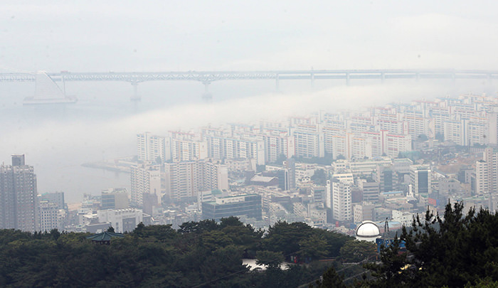 釜山出现海雾
