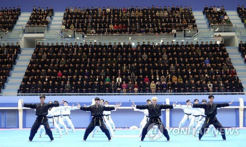 韩国跆拳道示范团时隔16年在平壤表