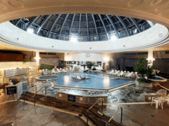 虚心厅 (农心酒店附属温泉)