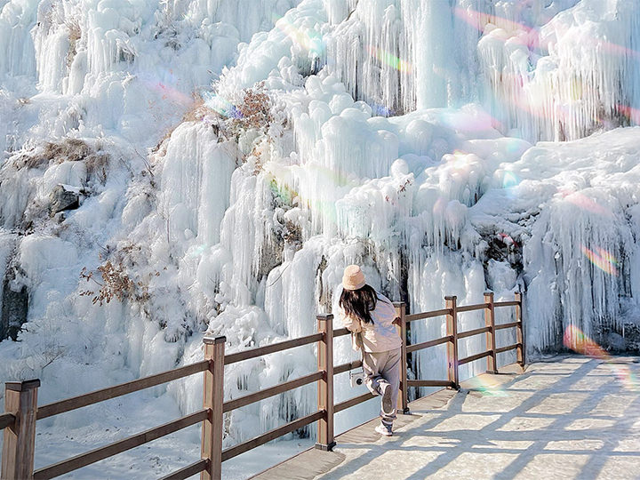 【首尔出发】鱼飞溪谷&南怡岛&羊驼乐园&小法兰西一日游