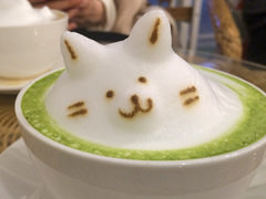 小猫绿茶拿铁