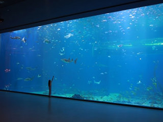 济州岛水族馆门票