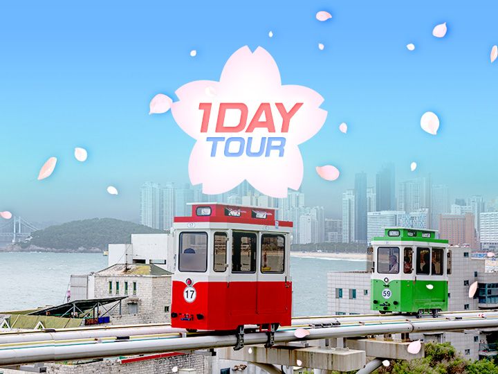 海雲臺藍線公園膠囊列車&賞櫻花春花一日遊