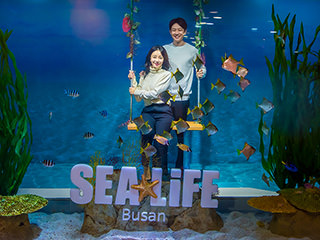 【釜山】SEA LIFE水族馆门票