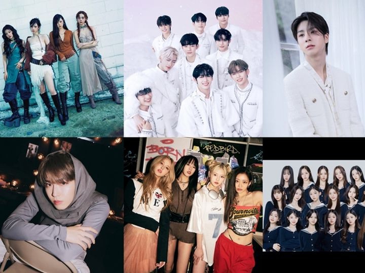 追加阵容：出演嘉宾