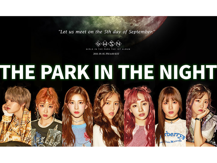 THE PARK IN THE NIGHT