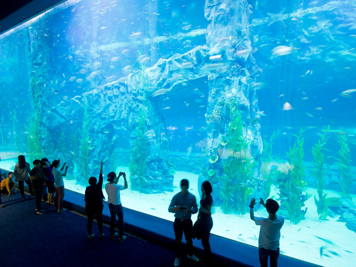 乐天世界购物城水族馆