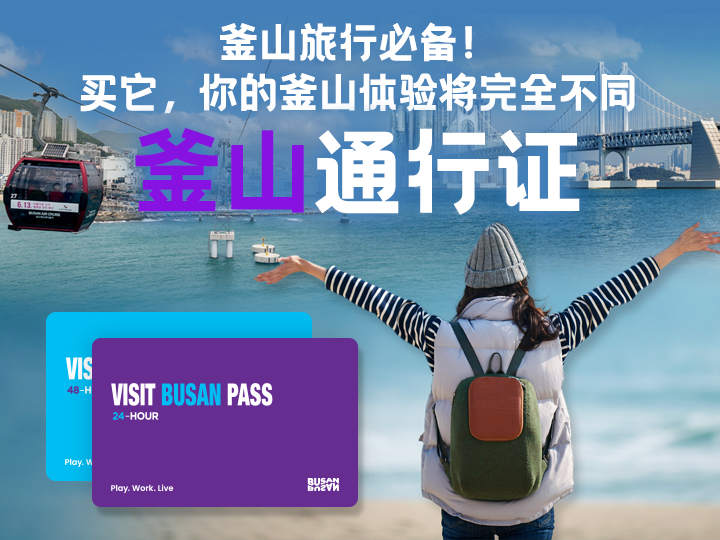 釜山通行证（Visit Busan Pass）