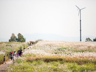 蓝天公园照片 韩国首尔景点 韩国旅游网 韩巢网