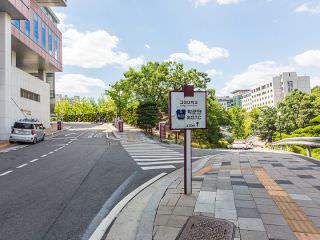 直走后见到三条分叉路，无论走哪条都行。当见到球场时，左边就是体育馆了。