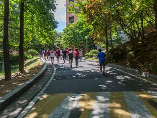爬上小缓坡知道尽头后，会看见体育馆就在右侧