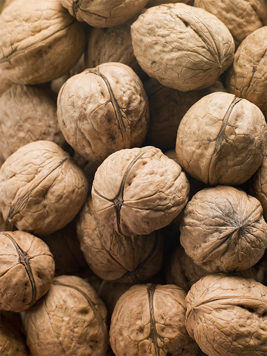 核桃果子中必含的核桃