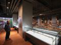 新建大楼时挖掘出的文化遗产，进行复原工作后展示给大家