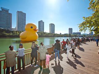 2014年展示的“大黄鸭”