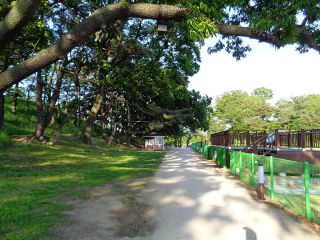 石冰库景区