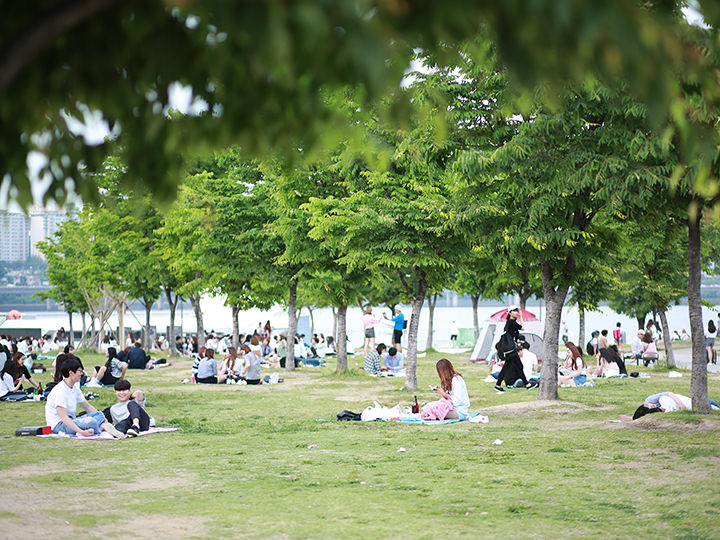 享受野餐的人们