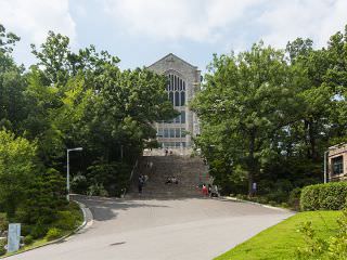 校园美丽的绿化