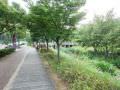 奖忠坛公园内有很多植物