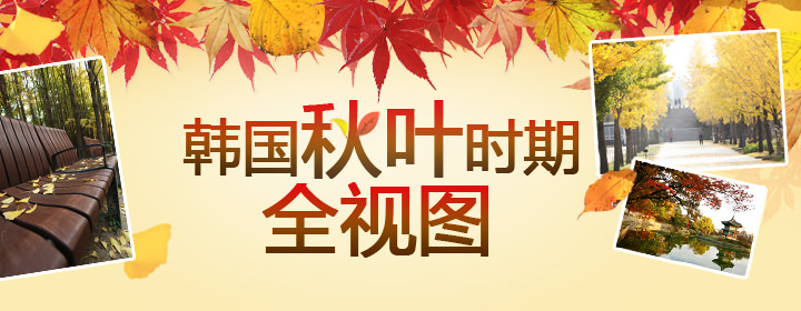韩国秋叶时期全视图