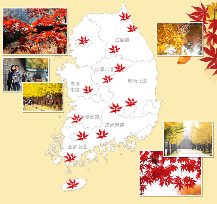 韩国秋叶最佳观赏时间全视图 韩国旅游攻略 韩国旅游网 韩巢网 韩国秋叶最佳观赏时间全视图 韩国旅游攻略 韩国旅游网 韩巢网