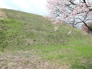 “风纳洞土城”被指定为史迹11号