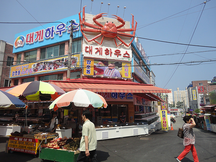 机张市场 韩国购物 韩国旅游网 韩巢网 机张市场 韩国购物 韩国旅游网 韩巢网