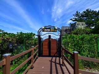 ※照片提供：江原道经济振兴院