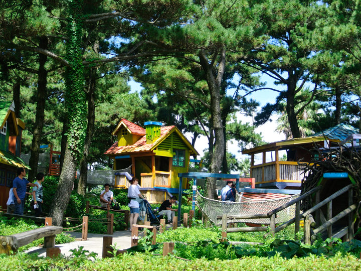 森林野营
※照片由济州可可梦生态公园提供