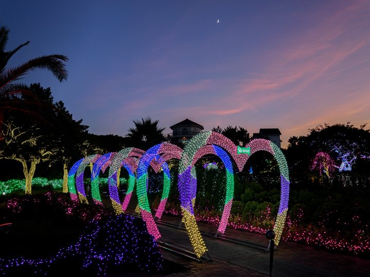 ※照片由济州香草花园提供