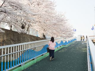 周末有时也会举办马拉松大赛