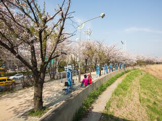 一路上还有许多健身器材