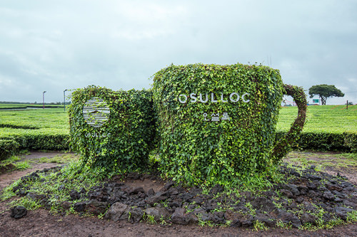o'sulloc tea博物馆
西归浦的绿茶主题博物馆