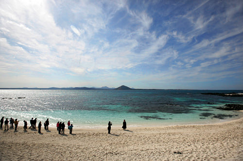 牛岛
可以选择花半日逛牛岛或榧子林。两地的景致都令人赞不绝口