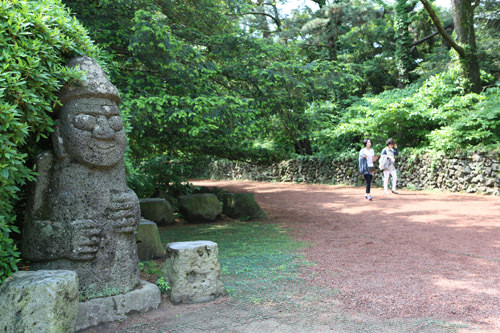 榧子林
济州岛天然氧吧,世界上最大规模单一树种植物林